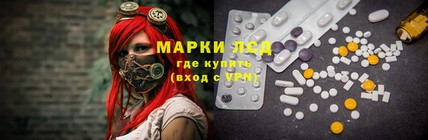 крисы Армянск