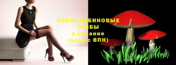 ГАЛЛЮЦИНОГЕННЫЕ ГРИБЫ Приозерск